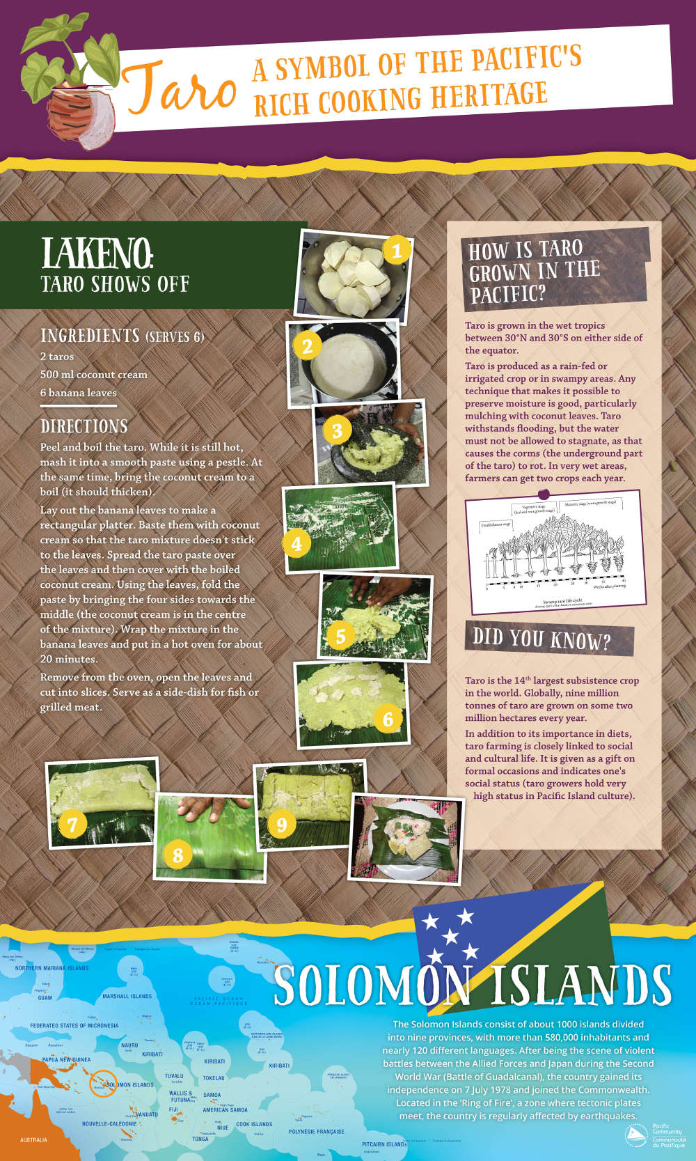Lakeno: Taro shows off from Solomon Islands
